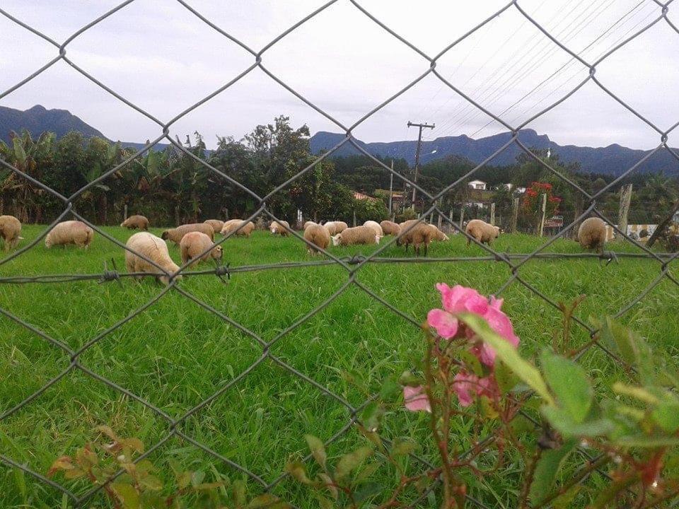 Casa Di Pecora - Pousada Rural Lauro Muller Kültér fotó